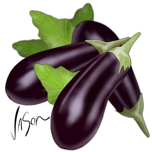 Picture of aubergine